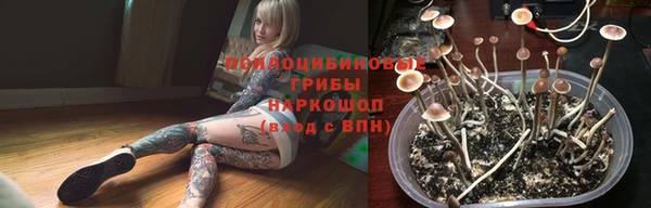 spice Беломорск