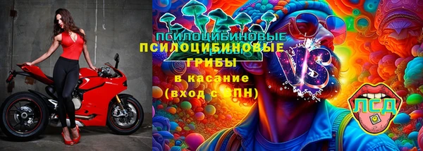 PSILOCYBIN Белокуриха