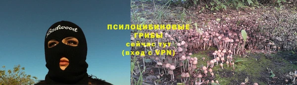 PSILOCYBIN Белокуриха